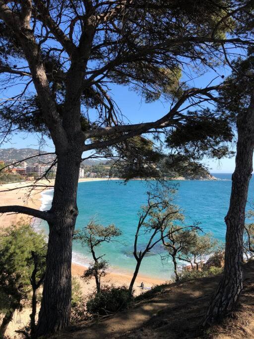 Mare Nostrum,12 Personen, Panoramisch Zeezicht Hébergement de vacances
